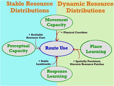 A Quantitative Framework for Identifying Patterns of Route-Use in Animal Movement Data